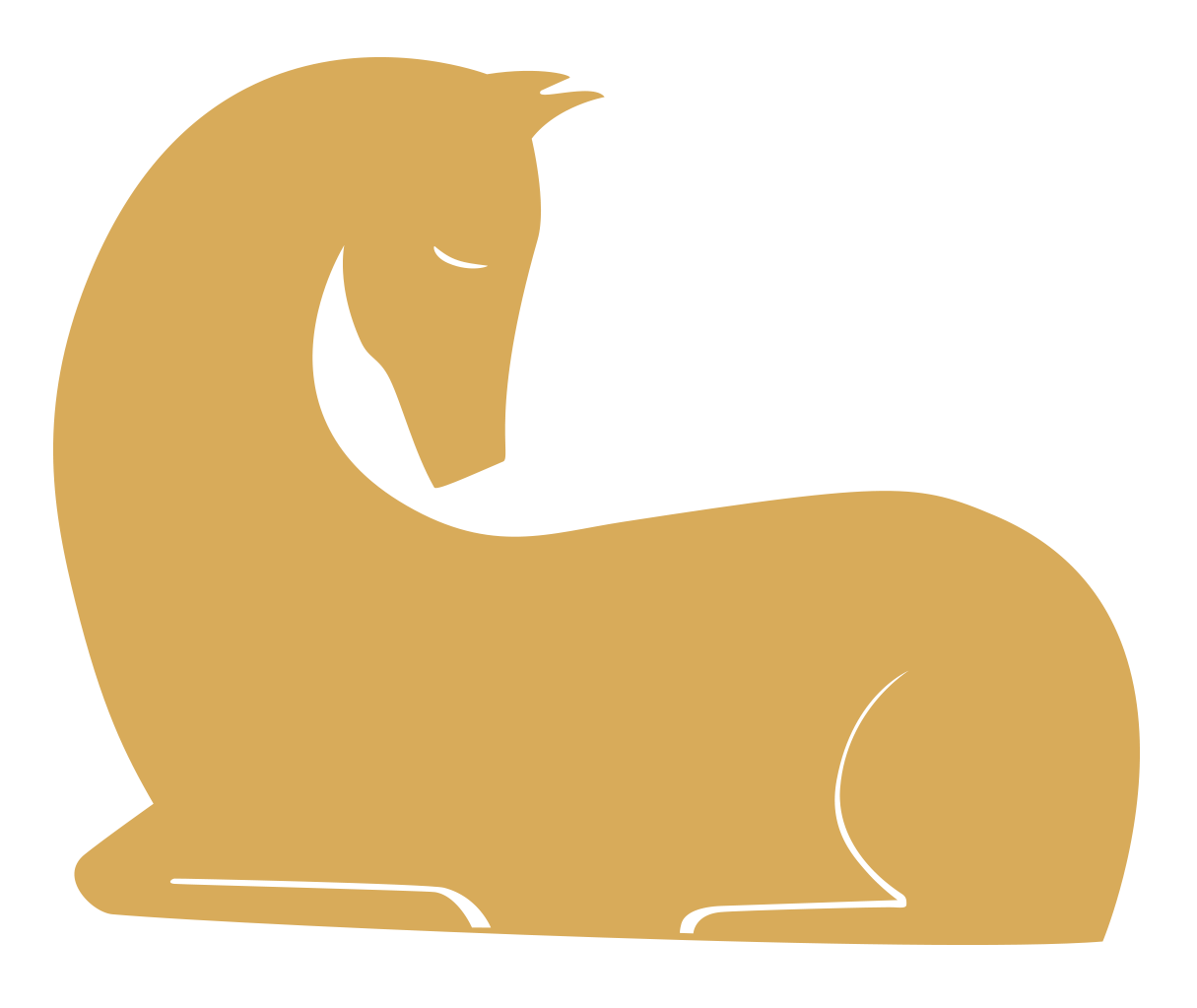 Stroy Pferd Logo